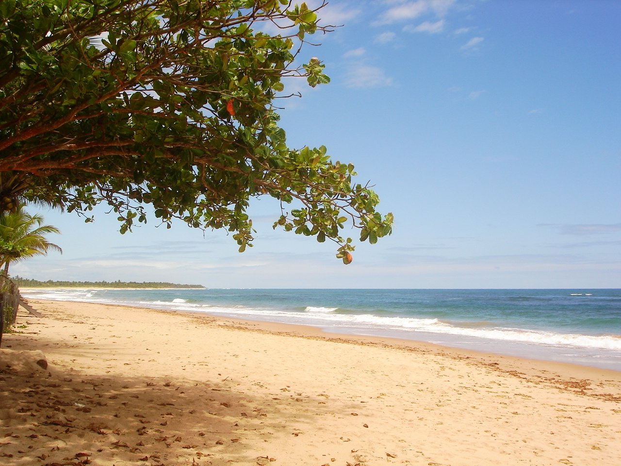 Leia mais sobre o artigo Descubra o Paraíso à Beira-Mar: Praia de Algodões na Península de Maraú, Bahia